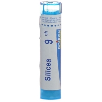 Буарон Силицеа гранулы C 9 4 г Буарон Силицеа гранулы C 9 4 г