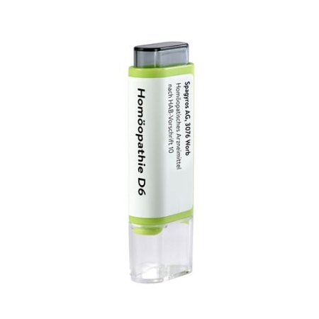 SPAGYROS ALLIUM CEPA D6 MULTIC