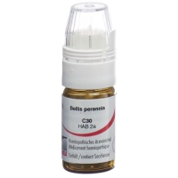 Omida Bellis Perennis шарики C 30 м 4г Omida Bellis Perennis шарики C 30 м 4г