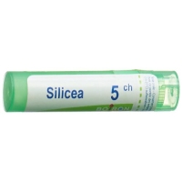 Буарон Силицеа гранулы C 5 4 г Буарон Силицеа гранулы C 5 4 г