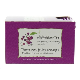 HERBORISTERIA WILFRCHTE-TEE BX HERBORISTERIA WILFRCHTE-TEE BX