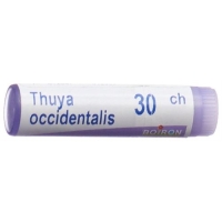 Boiron Thuya Occidentalis шарики C 30 1 доза Boiron Thuya Occidentalis шарики C 30 1 доза
