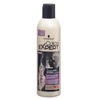 COLOR EXP SHAMPOO COLOR EXP SHAMPOO