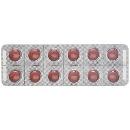 ATOVAQUON PROGUANIL Mepha Filmtable 250/100 ATOVAQUON PROGUANIL Mepha Filmtable 250/100