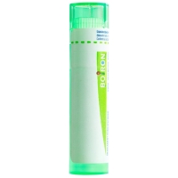 Буарон Игнатия Амара гранулы C 5 4 грамма Буарон Игнатия Амара гранулы C 5 4 грамма