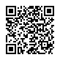 QR POLYMEM WIC SILVER WUNDFLLER 2