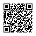 QR POLYMEM WIC SILVER WUNDFLLER 2