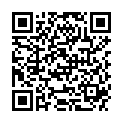 QR FILLAWANT SPORT KNIEBANDAGE ST