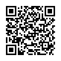 QR FILLAWANT SPORT KNIEBANDAGE ST