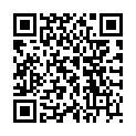 QR EVERGREEN YIN QIAO SAN