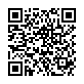 QR DIEM LESEBR TWIST AROUN SW 3.0
