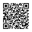 QR DIEM LESEBR GOLF ROT 3.5