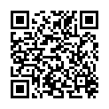 QR H CAMPECHIANUM LIGNUM CONC