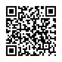 QR PHYTOMED SPAGYR TARAXACUM COMP