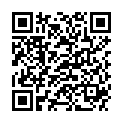 QR DIEM LESEBR BELGRAD 3.5