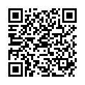 QR DIEM LESEBR GENF GRUEN 2.5