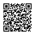 QR DIEM LESEBR MOSKAU BLAU 2.5