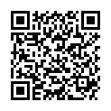 QR DIEM LESEBR MOSKAU BLAU 3.5