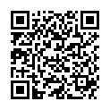 QR DIEM LESEBR MOSKAU BRAUN 2.5