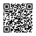 QR DIEM LESEBR NEWYORK BRAUN  3.5