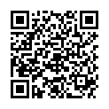 QR DIEM LESEBR NEWYORK BORDEA 2.5