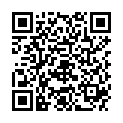 QR DIEM LESEBR NEWYORK BORDEA 3.5
