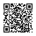 QR DIEM LESEBR NEWYORK BLAU 2.5