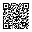 QR DIEM LESEBR NEWYORK BLAU 3.5
