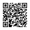 QR DIEM LESEBR SYDNEY GUN 2.5