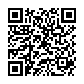 QR DIEM LESEBR TURIN 3.5