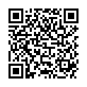QR SALTER ELEKTRONI MIX SCHSSEL W