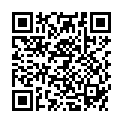 QR SKYSOCKS NAVY REISESTR 70DEN 4