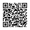 QR DIEM LESEBR IN DEMI 2.5