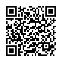 QR DIEM LESEBR IN DEMI 3.5