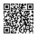 QR FIT PFLASTER LADY 3 STK