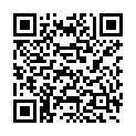 QR CARNEVAL SCHMINKPINSEL BREIT