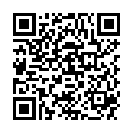 QR SAPHIR REINIGUNGSSCHWAMM FR WI