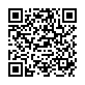 QR FUCHS PROTHESENBUERSTE PRO