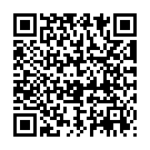 QR Адаптер Chemfort Luerlock 100 шт.