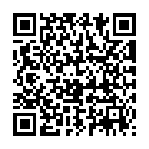 QR ISSRO wooden star 220 g