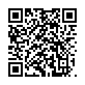 QR MColorpHast indicator strips 9531 100 pcs