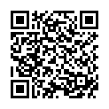 QR PRANAROM Niedere Scheinbeere Äth/Öl BIO